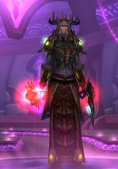 Level 80 Female Draenei Shaman (PvE) Wow Accounts for sale
