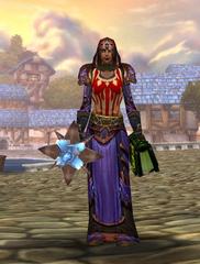 Level 80 Female Human Priest (PvP) Wow Accounts for sale