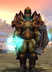 Level 80 Male Human Paladin (PvE) Wow Accounts for sale