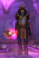 Cheap WoW Accounts Level 80 Female Draenei Hunter (PvE)