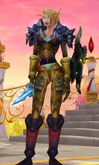 Level 80 Female Blood Elf Paladin (PvP) Wow Accounts for sale