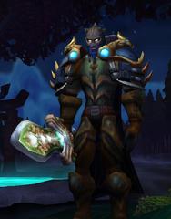 Cheap WoW Accounts Level 80 Male Night Elf Hunter (PvP)