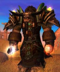 Cheap WoW Accounts Level 80 Male Tauren Druid (PvP)