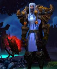 Cheap WoW Accounts Level 80 Male Night Elf Hunter (PvP)