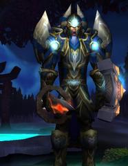 Cheap WoW Accounts Level 80 Male Night Elf Warrior (PvP)