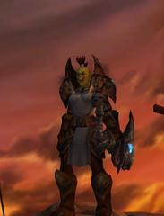 Cheap WoW Accounts Level 80 Female Orc Hunter (PvP)