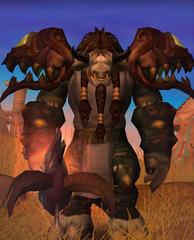 Cheap WoW Accounts Level 80 Male Tauren Druid (PvP)