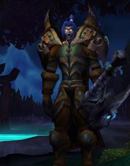 Cheap WoW Accounts Level 80 Male Night Elf Hunter (PvE)