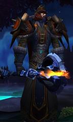 Level 80 Male Night Elf Druid (PvP) Wow Accounts for sale