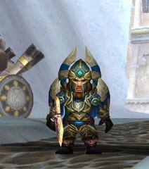 Level 80 Male Gnome Warrior (PvE) Wow Accounts for sale