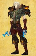 Cheap WoW Accounts Level 80 Male Blood Elf Rogue (PvP)