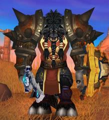 Level 80 Male Tauren Warrior (PvP) Wow Accounts for sale