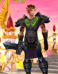 Cheap WoW Accounts Level 85 Male Blood Elf Paladin (PvP)