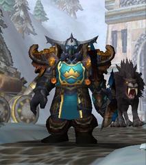 Cheap WoW Accounts Level 80 Male Dwarf Hunter (PvP)