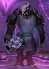 Cheap WoW Accounts Level 80 Male Draenei Paladin (PvE)