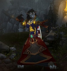 Cheap WoW Accounts Level 85 Female Worgen Warlock (PvE)