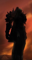Cheap WoW Accounts Level 80 Female Orc Hunter (PvP)