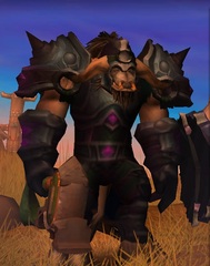Cheap WoW Accounts Level 85 Male Tauren Paladin (PvP)