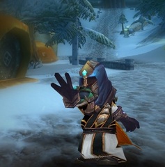 Buying WoW Account Level 80 Male Gnome Warlock (PvP)