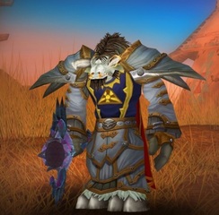 Cheap WoW Accounts Level 85 Male Tauren Druid (PvP)