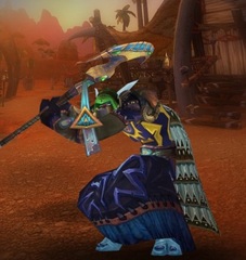 Cheap WoW Accounts Level 85 Male Troll Druid (PvP)