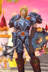 Cheap WoW Accounts Level 85 Male Blood Elf Paladin (PvP)