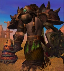Cheap WoW Accounts Level 85 Male Tauren Shaman (PvP)