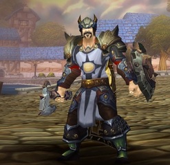 Cheap WoW Accounts Level 85 Male Human Paladin (PvE)