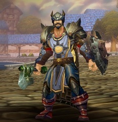 Cheap WoW Accounts Level 85 Male Human Paladin (PvE)