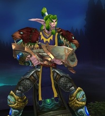 Cheap WoW Accounts Level 85 Male Night Elf Hunter (PvP)