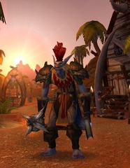 Cheap WoW Accounts Level 85 Male Troll Druid (PvP)