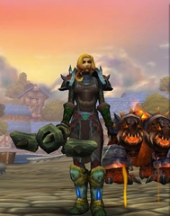 Cheap WoW Accounts Level 85 Female Human Hunter (PvP)