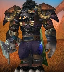 Cheap WoW Accounts Level 85 Male Tauren Druid
