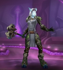 Cheap WoW Accounts Level 85 Female Draenei Warrior