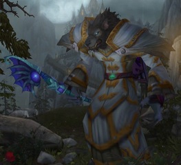 Cheap WoW Accounts Level 85 Male Worgen Mage