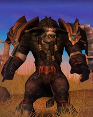 Cheap WoW Accounts Level 85 Male Tauren Paladin