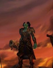 Cheap WoW Accounts Level 80 Female Orc Hunter