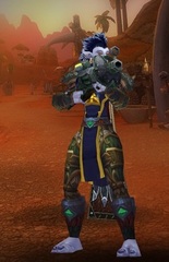 Cheap WoW Accounts Level 85 Female Troll Hunter