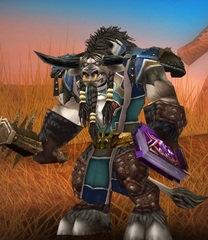 Cheap WoW Accounts Level 80 Male Tauren Druid