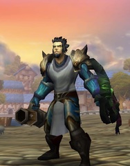 Cheap WoW Accounts Level 85 Male Human Paladin