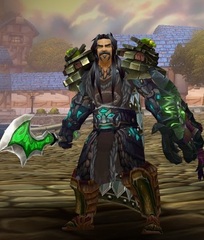 Level 85 Male Human Warrior Wow Accounts for sale