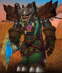 Cheap WoW Accounts Level 85 Male Tauren Druid