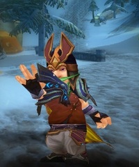 Buying WoW Account Level 80 Male Gnome Warlock