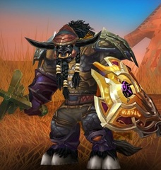 Buying WoW Account Level 80 Male Tauren Shaman