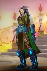Buying WoW Account Level 85 Male Blood Elf Paladin