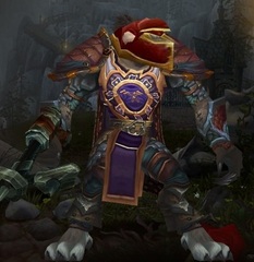 Cheap WoW Accounts Level 81 Male Worgen Hunter