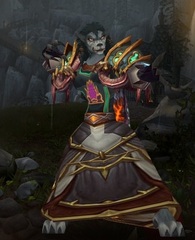 Cheap WoW Accounts Level 85 Female Worgen Priest