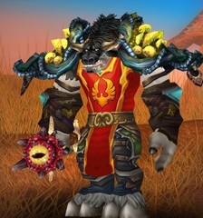 Level 85 Male Tauren Druid Wow Accounts for sale