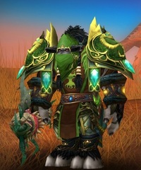 Buying WoW Account Level 85 Male Tauren Druid