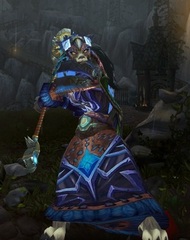 Cheap WoW Accounts Level 85 Female Worgen Druid